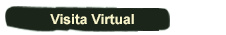 Visita Virtual